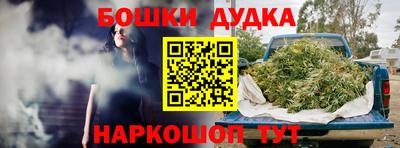 индика Пугачёв