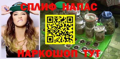 индика Пугачёв