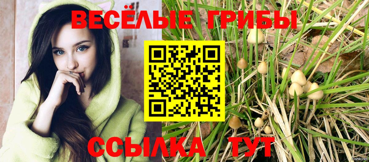 Тавда  Галлюциногенные грибы ЛСД  Вход с VPN 